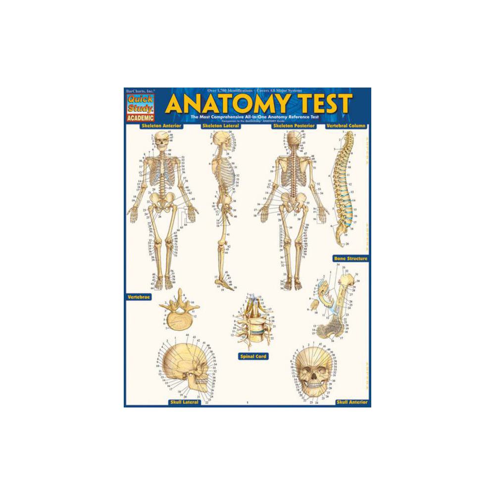 Barchart Anatomy Test
