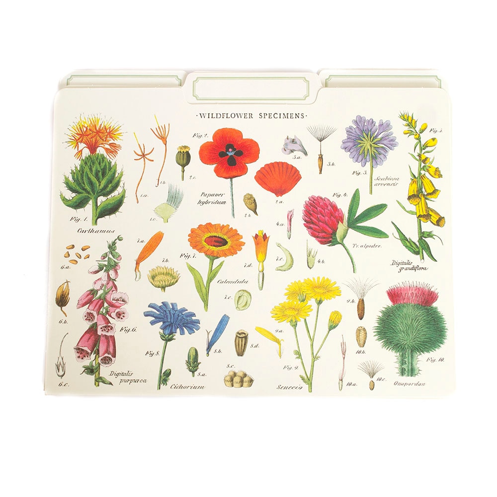 Cavallini Decorative File Folders 12 Package Wildflowers, image size:1000x1000