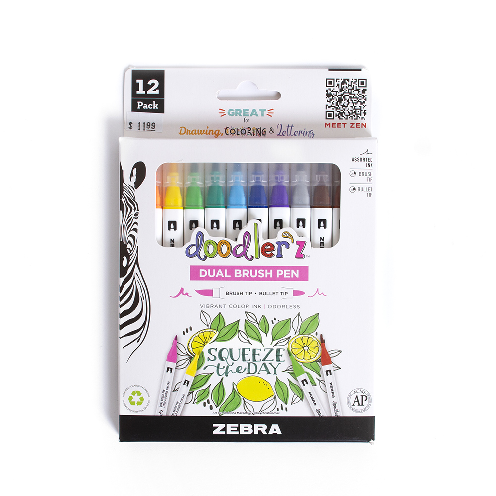  CAISEXILE 72 PC Artists Drawing Sets 48 Color Glitter and 24  Color Dual Tip Brush Pens : Arts, Crafts & Sewing